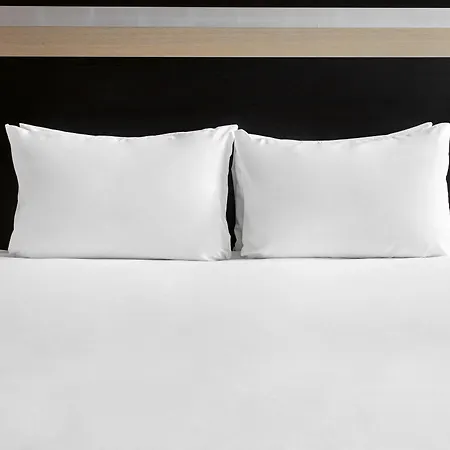 Frankfurt Airport - Neu-isenburg, An Ihg 4* Neu-Isenburg