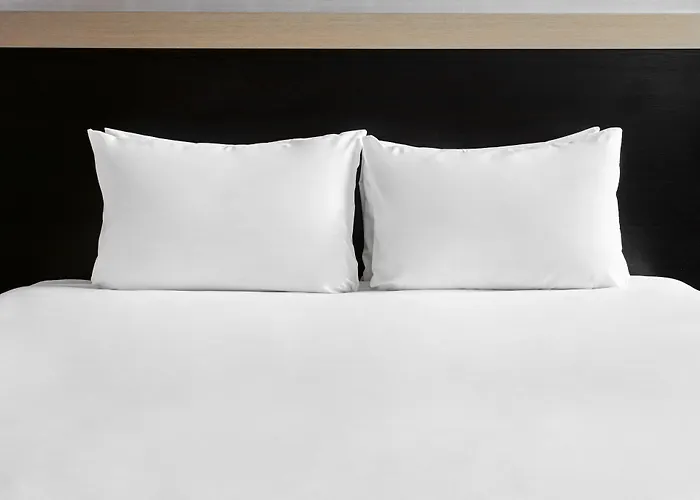 Frankfurt Airport - By Ihg 4* Neu-Isenburg